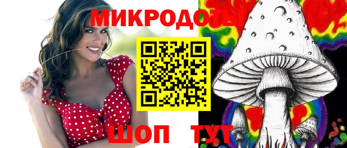 Галлюциногенные грибы Cubensis  Вход с VPN  Светлоград  Псилоцибиновые грибы Cubensis 